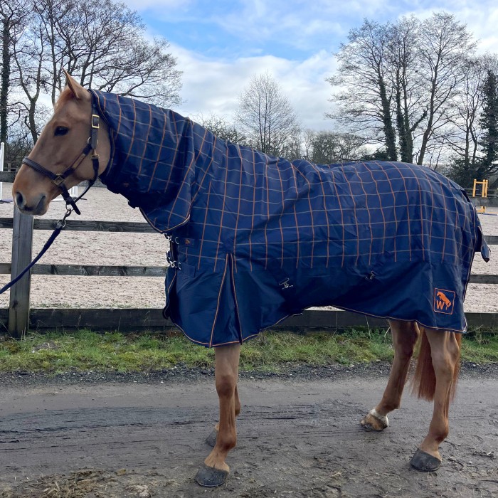 R422 Noah 100g Turnout Rug with Fixed Neck and Tail Flap Navy and Orange